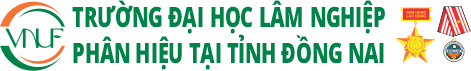 My Website