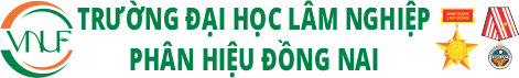 QLHS
